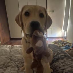 Avatar for Yiannis Panagidis